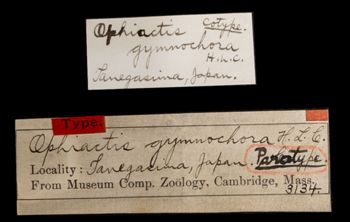 Media type: image;   Invertebrate Zoology OPH-3134 Aspect: labels